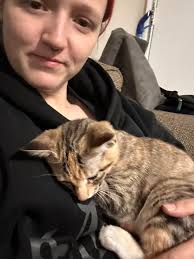 Where to find affordable spay and neuter services for cats in North  Charleston?