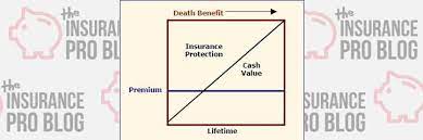 Unearned premium reserves show the aggregate amount of premiums that would be returned to policyholders if all policies were canceled on the date the balance sheet was prepared. The Life Insurance Reserve
