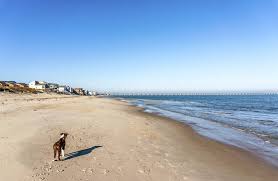 The old farmer's almanac's extended forecasts can be used to make more informed decisions about future plans that. Beach Weather Forecast For Chesapeake Bay Virginia Beach United States