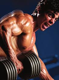 Almost-Effortless Muscle and Strength Gains: Old Movers and Shakers of  Exercise Vindicated by New Vibration Technology