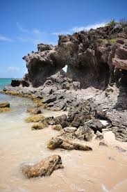 Epingle Sur Martinique