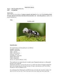 Image result for panda ant