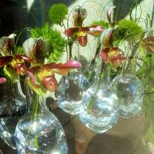 I agree to receive up to 6 autodialed text messages per month from or on behalf of edible arrangements, llc about promotions, special offers, and discounts at the phone number provided above. Winston Flowers Greenwich Ct
