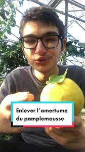 Tu n'aura plus besoin de manger le pamplemousse avec du sucre !  🍊🍭#tiktokacademie #pourtoi #foryou #pomelo #pamplemousse #agrume #hiver  #education #aprentissage #connaissance #alimentation ...
