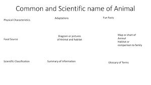 common and scientific name of animal