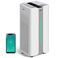 Let's look at the facts. The Best Air Purifier For Mold Fungus Viruses 2021 Test Comparison