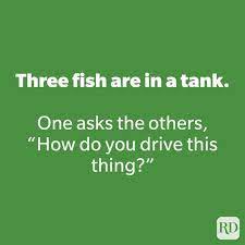 What goes up when the rain comes down? 175 Bad Jokes That You Can T Help But Laugh At Reader S Digest
