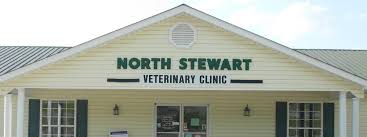 Southside place animal hospital is a full service animal clinic located in houston, tx. North Stewart Southside Veterinary Clinic