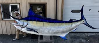 Blue Marlin Fish Mounts Replicas By Coast To Coast Fish Mounts