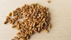 The production of fenugreek in india is marked by its dominant position in world production and export. 5 Reasons Why Fenugreek Methi Seeds Are Good For You Healthy Eating News Zee News