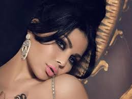 بالصور لأول مرة هيفاء وهبي تكشف عن خزانتها Brunette Beauty Beauty Arab Beauty