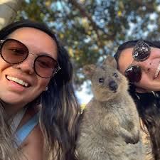 Profile for Quokka Island