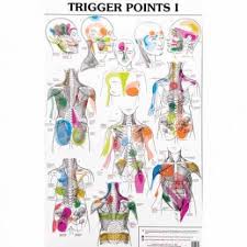 Smoulders Trigger Point Charts