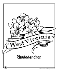 All click virginia state coloring pages view printable version color online compatible with ipad android tablets west flower page flag symbols. West Virginia State Flower Coloring Page Woo Jr Kids Activities