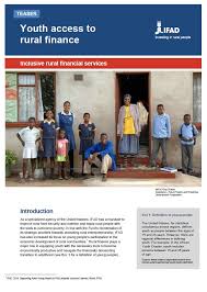 Most investors are attracted to warrants, this is because it gives them the right to buy or sell a security (stock or bond). Toolkit Youth Access To Rural Finance