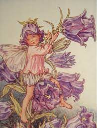 Pin By Anamaria Radikovic On Angels Fairies Vintage Fairies Flower Fairies Fairy Pictures