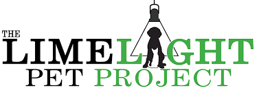 Every dog or cat leaves our shelter kitsap humane society. The Limelight Pet Project Pet Adoptions A Partnership To Provide Fame For The Forgotten A Platform For The Less Fortunate And Perspective From The People And Places That Help Harder To