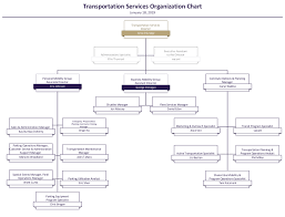 Systematic Safety Committee Organization Chart Sample