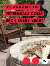 Learn Do Annuals Or Perennials Come Back Every Year How To Guides Tips And Tricks Planting Flowers Peach Trees Plants