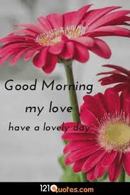 I am bonded by your unconditional love. 200 Beautiful Good Morning Images Latest Update