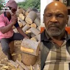 From balsa tree logs to matchsticks.