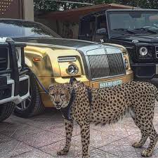 Pin On Glamorous Life