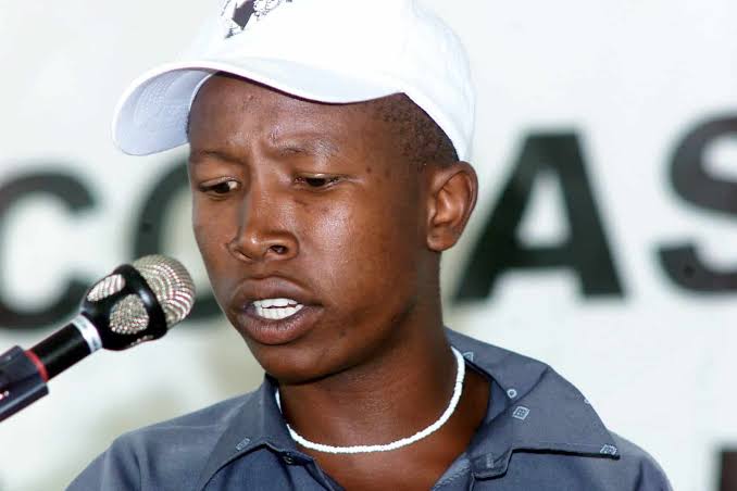 Julius Malema: Life and times of the outspoken politician | The Citizen