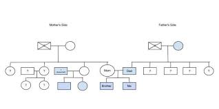 making a family pedigree genetics traits make a family