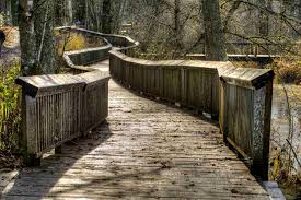Located off highway 26 between portland and seaside, saddle mountain is a dramatic rocky butte in the middle of timber country. 9 Top Things To Do Between Seattle Tacoma And Portland