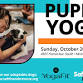 Safe Hands Rescue Puppy Yoga at YogaFit Linden Hills event image