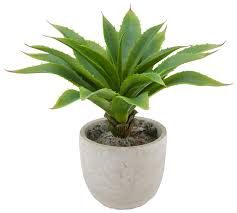 Kunstpflanze Agave Grun Pflanzen Kunstpflanzen Indoor Garten
