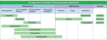 antimicrobial drug activity spectrum infection control