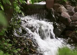 Best free nature gifs for different moods and situations. Waterfall Gifs Wifflegif