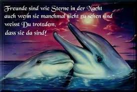Ein gedicht zum neuen jahr kommt also eigentlich bei jedem gut an, solange es von herzen kommt. Gedicht Freunde
