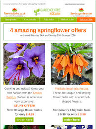 All white flowering, soft yellow or pinks. Gardencentrekoeman Co Uk 4 Spectaculair Springflower Offers Milled