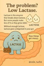 Image result for Lactase Deficiency