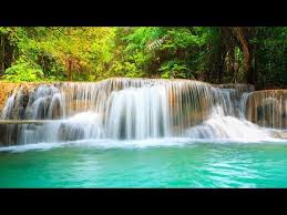 Relaxing Music 24 7 Meditation Music Healing Music Sleep Music Study Music Yoga Sleep Relax In 2020 Relaxing Music Sleep Meditation Music Sleep Relaxing Music