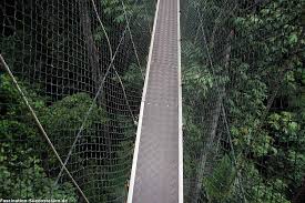 The journey from gua musang of 90km takes about 1 ½ hours. Taman Negara Nationalpark Sehenswurdigkeiten Anreise Unterkunfte