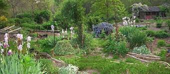 There are many ways this is true. Piecing Together A Guild Of Your Own The Permaculture Research Institute