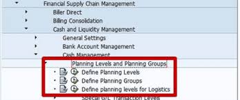 Their duties include completing financial transactions in a secure manner, generating reports, finding solutions to improve efficiency, improving cash inflow, updating financial data, handling bank accounts, and exchanging foreign currency. Sap S 4hana Cash Operations An Overview Sap Blog Eursap