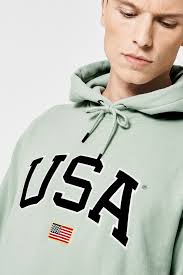 Men Hoodie with embroidered USA text Sage