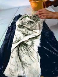 Pine Needles Print With Iron Mordant Natural Dye Fabric Eco Dyeing Fabric Eco Printing