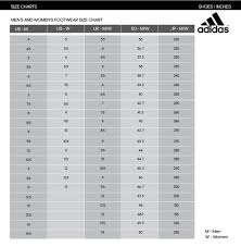 Adidas Rugby Shorts Size Chart