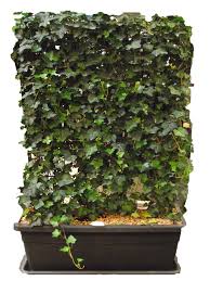 Pin Auf Larmschutz Terasse