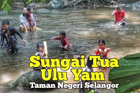Maybe you would like to learn more about one of these? Mandi Manda Di Hutan Lipur Sungai Tua Ulu Yam