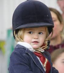 British Riding Pony/Hunter Pony Stallions At Stud