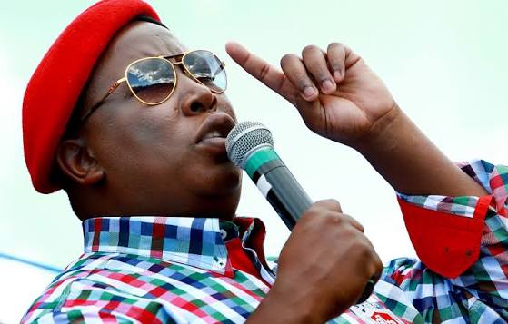 Julius Sello Malema | South African History Online