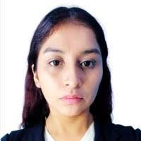 300+ "Pinglo" profiles