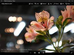 Example Of Png File Format Png Images Png Raster Image