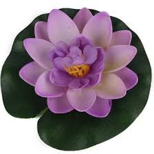 Bunga teratai atau biasa disebut nymphaea merupakan genus tanaman air yang berasal dari suku nymphaeaceae. Jual Produk Kolam Bunga Teratai Termurah Dan Terlengkap Juni 2021 Bukalapak